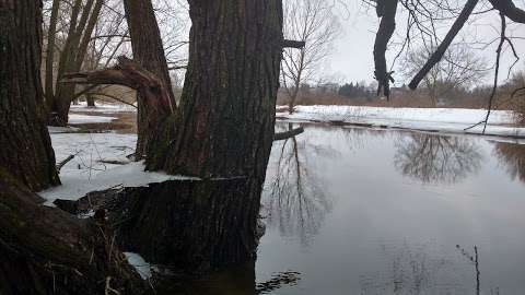 Darroch Nature Reserve